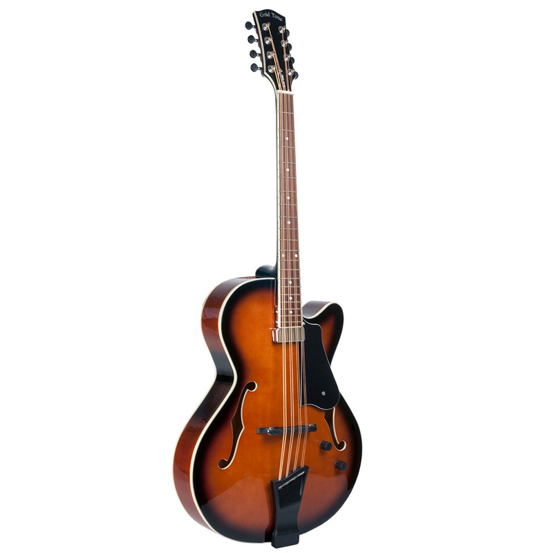Gold Tone MANDACELLO w/Pickup and Case