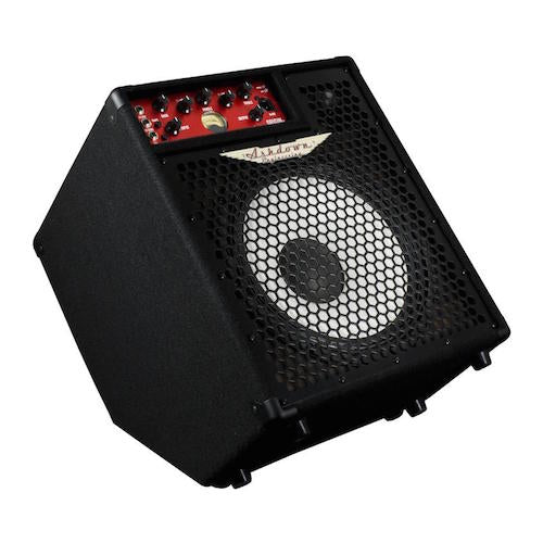 Ashdown Original-C112T-300 Bass Combo - Red One Music