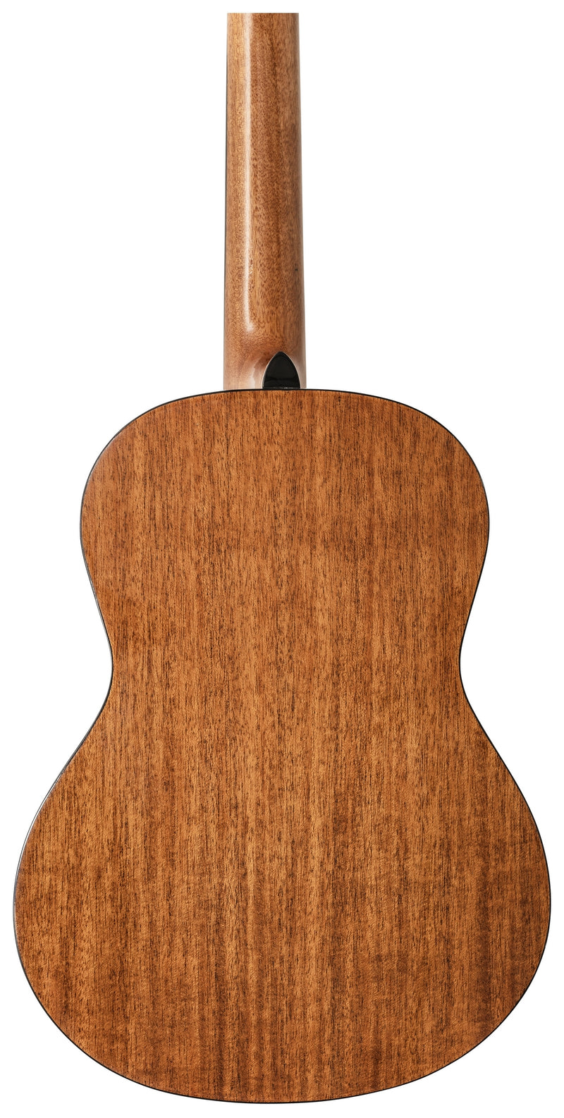 Peavey DELTA-WOODS CNS-1 Guitare classique à cordes en nylon