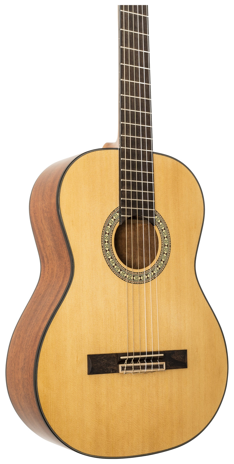 Peavey DELTA-WOODS CNS-1 Guitare classique à cordes en nylon