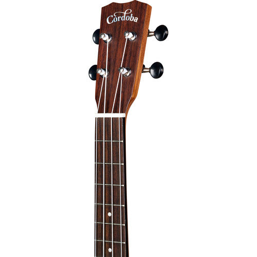 Ukulélé de concert Cordoba 25C - Acacia exotique 