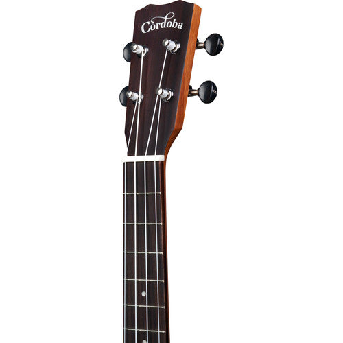 Cordoba 25T-CE Tenor Acoustic/Electric Ukulele (Exotic Acacia)