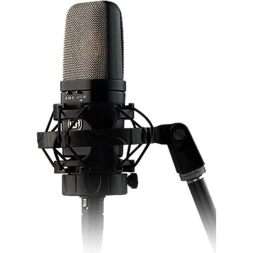 Warm Audio WA-14 LARGE-DIAPHRAGM BRASS-CAPSULE Condenser Microphone - Red One Music