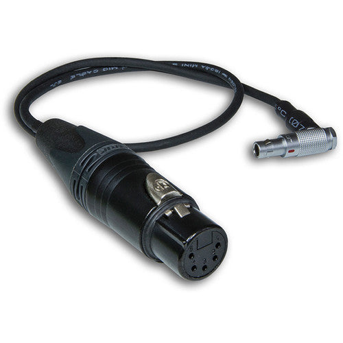 Câble adaptateur Beachtek BT-LEMO XLR5F vers LEMO à angle droit (17,7")