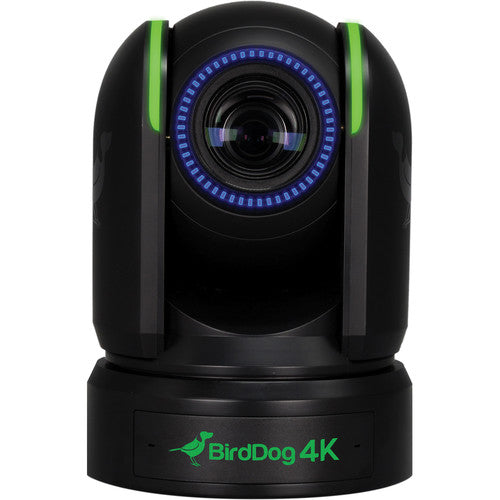 BirdDog BDP4K P4K 4K Full NDI PTZ Camera with 1" Sony Sensor (Black)
