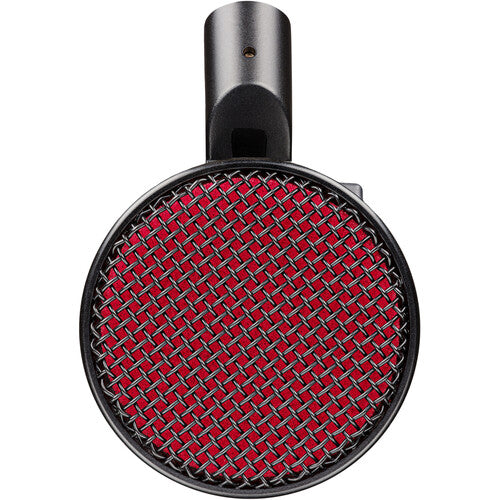 SE Electronics DYNACASTER Dynamic Broadcast Microphone w/Built-In Preamp & EQ