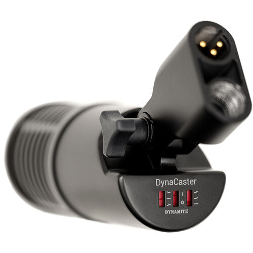 SE Electronics DYNACASTER Dynamic Broadcast Microphone w/Built-In Preamp & EQ