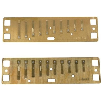 Lee Oskar 1910HRP-MIN-D-FLAT Harmonica MIN-D-FLAT