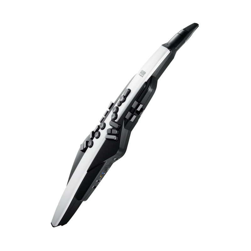 Roland AE-20 Aerophone Digital Wind Instrument