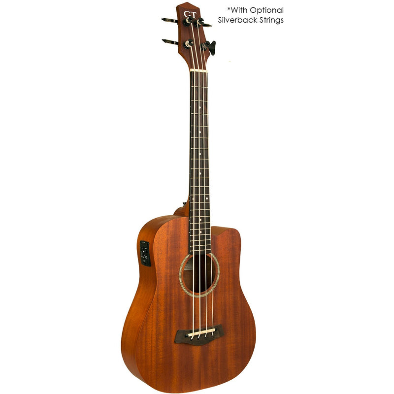Gold Tone MBASS/FL Fretless Acoustic-Electric MicroBass with Piezo and Built in EQ w/gig bag