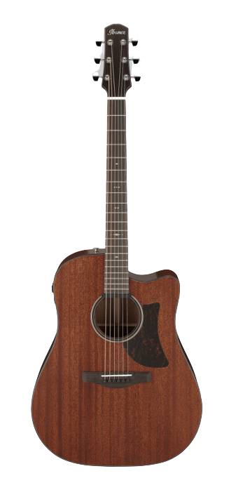 Ibanez AAD440celgs Guitare Advanced Platinum Collection Platinum (Low Gloss Natural Low Gloss)