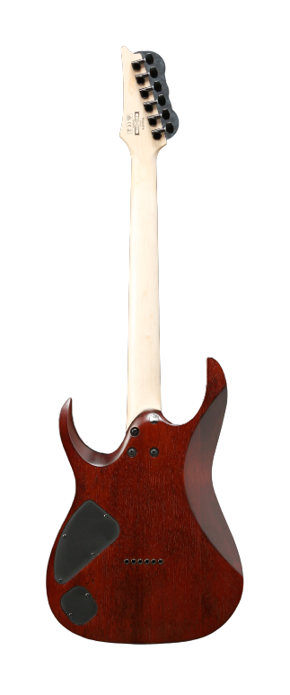 Ibanez RGA42FMDEF RGA - Guitare électrique Hardtail avec micros Quantum - Dragon Eye Burst Flat