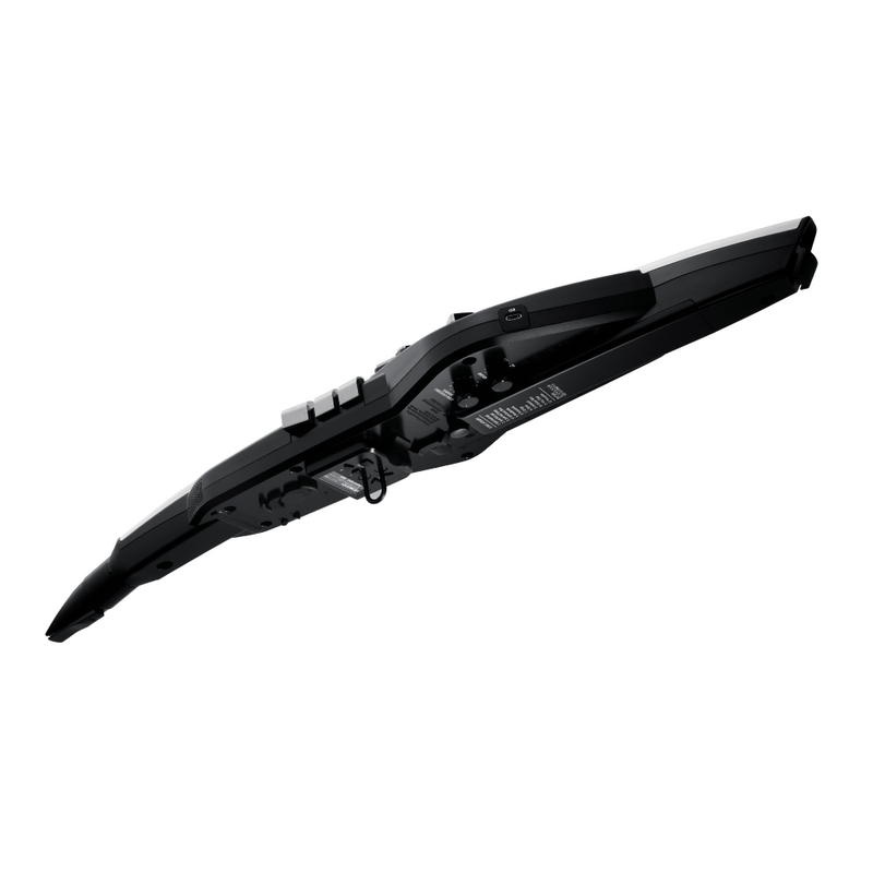 Roland AE-20 Aerophone Digital Wind Instrument