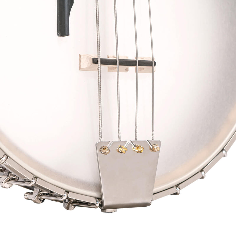 Gold Tone BB-400+ Bass Banjo with Pickup and Case