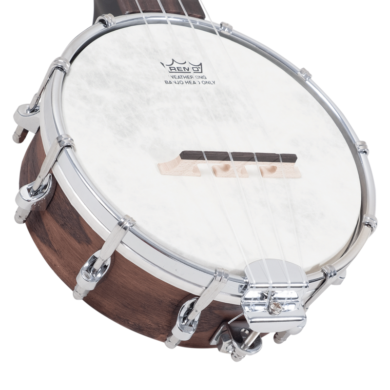 Recording King RK-U25-BR Madison Banjo Ukulele