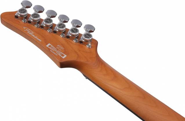 Ibanez TOD10 Tim Henson Signature Electric Guitar (Classic Silver)