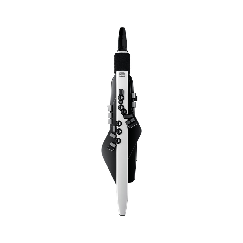 Roland AE-20 Aerophone Digital Wind Instrument