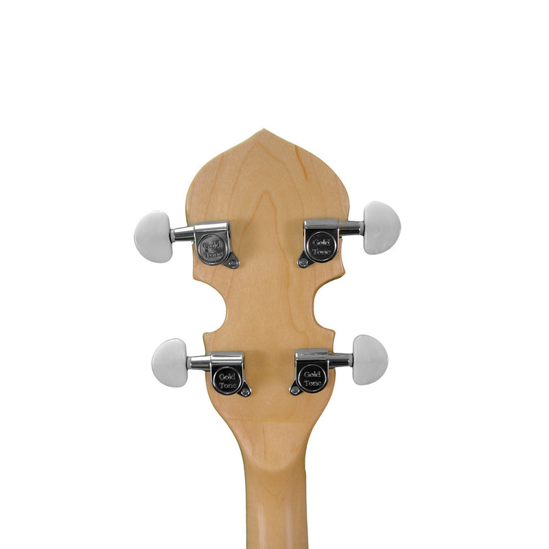 Banjo à résonateur 5 cordes Gold Tone CC-100R Cripple Creek