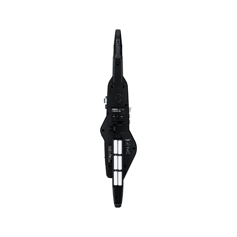 Roland AE-20 Aerophone Digital Wind Instrument