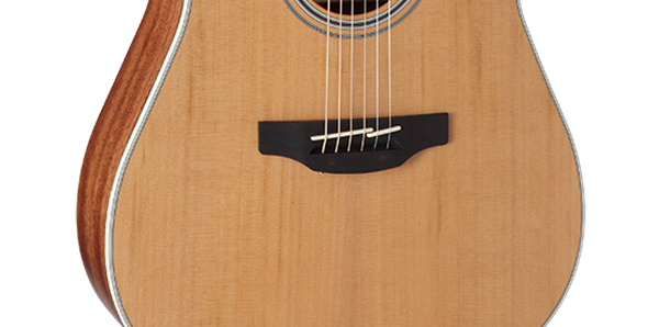 Takamine GD20CE-NS - Guitare électrique acoustique Dreadnought Pan coupé - Satin naturel