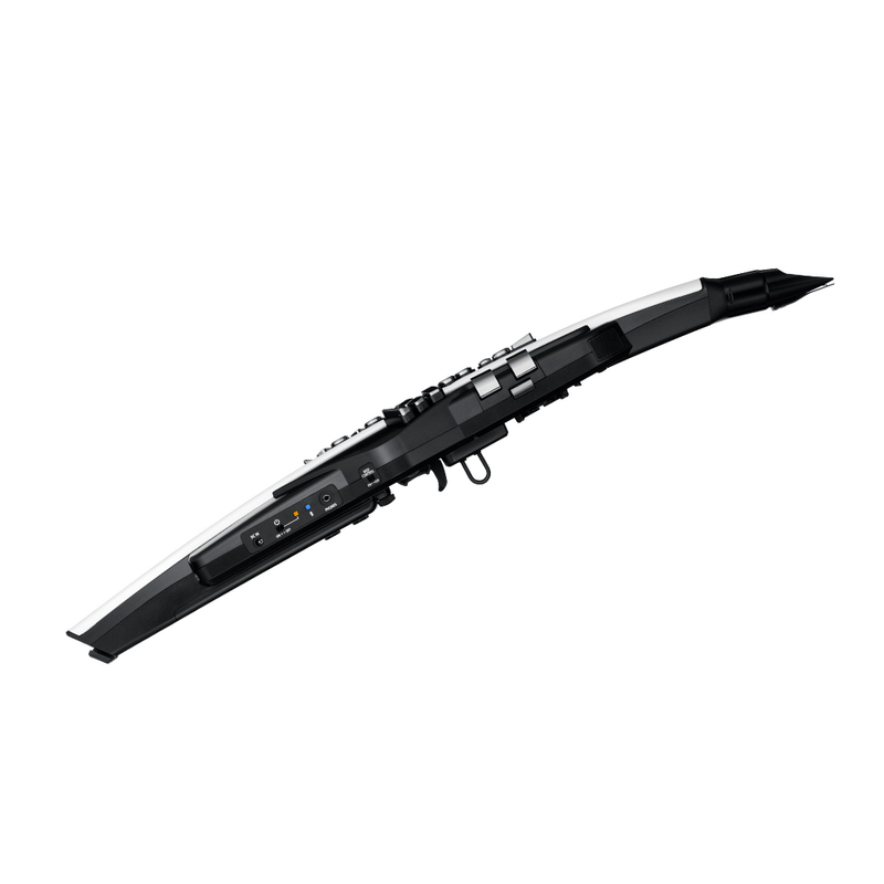 Roland AE-20 Aerophone Digital Wind Instrument