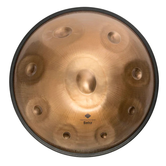 Sela SE202 Harmony Handpan - D Amara - Stainless Steel