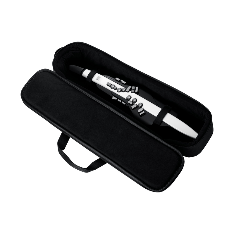Roland AE-20 Aerophone Digital Wind Instrument