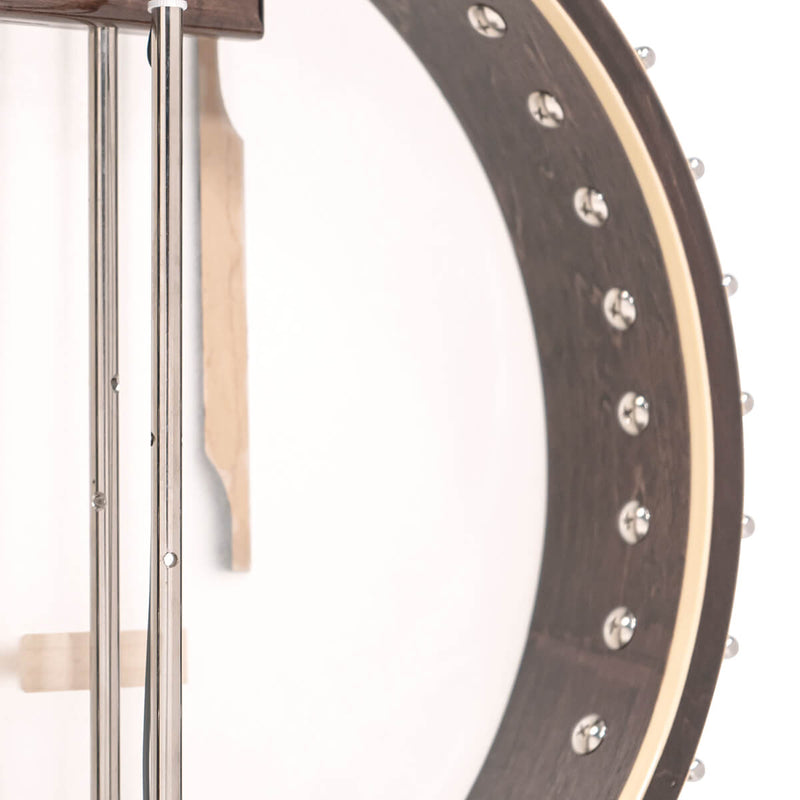 Gold Tone BB-400+ Bass Banjo with Pickup and Case