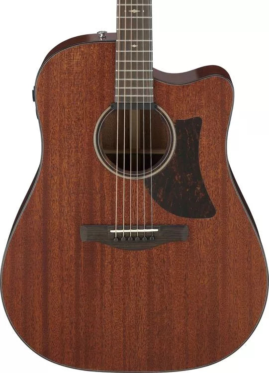 Ibanez AAD440celgs Guitare Advanced Platinum Collection Platinum (Low Gloss Natural Low Gloss)