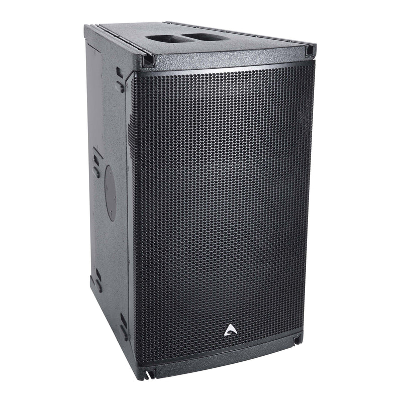 Axiom AX1012P 12” Passive 2-way Full-Range Constant Curvature Array Element