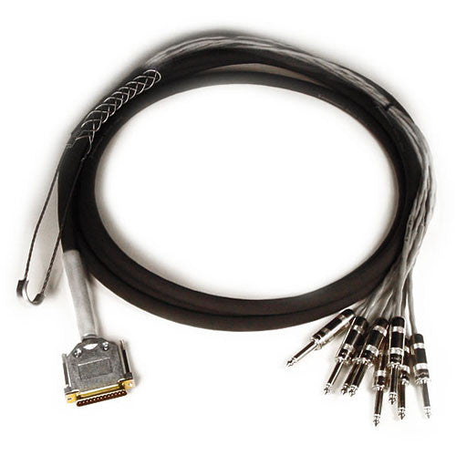 Avid DB25-TS +4 dBu/-10 dBV Padded 12' DigiSnake