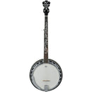 Ibanez B300 Banjo 5 cordes