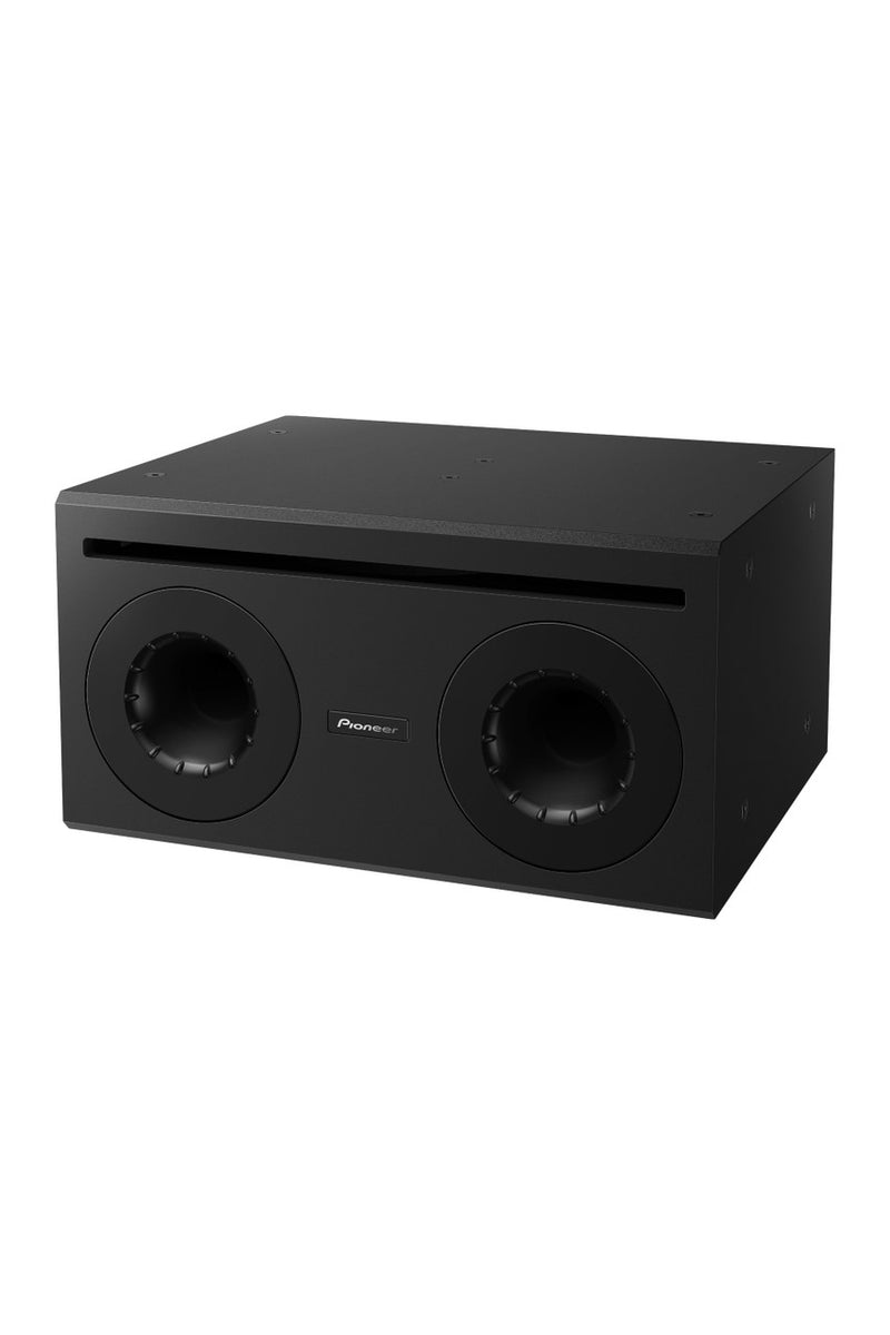 Pioneer Pro Audio CM-510ST Passive Subwoofer - 10” (Black)
