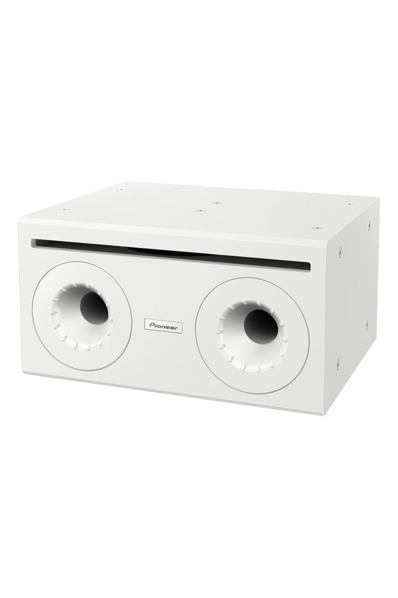 Pioneer Pro Audio CM-510ST Passive Subwoofer - 10” (White)