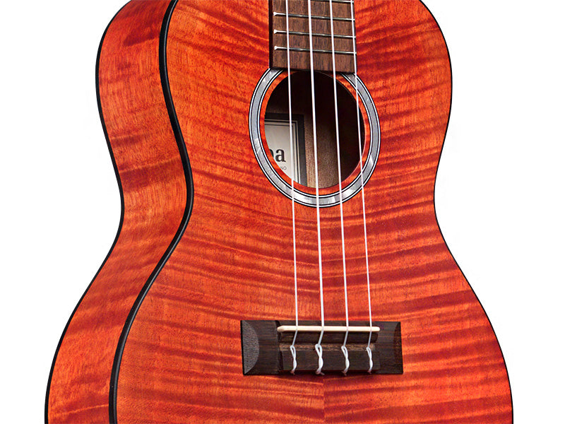 Cordoba 15CFM Concert Ukulele (Rose Red)  LIMITED QUANTITY