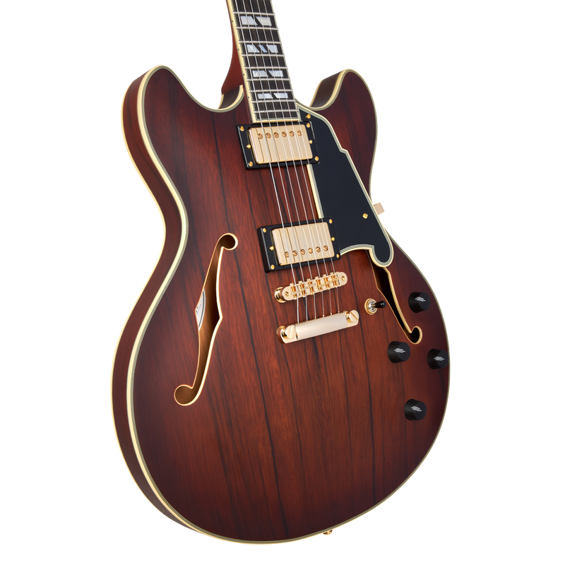 D'Angelico DADDCSBBGS Deluxe DC Guitare électrique semi-creuse (Satin Brown Burst)