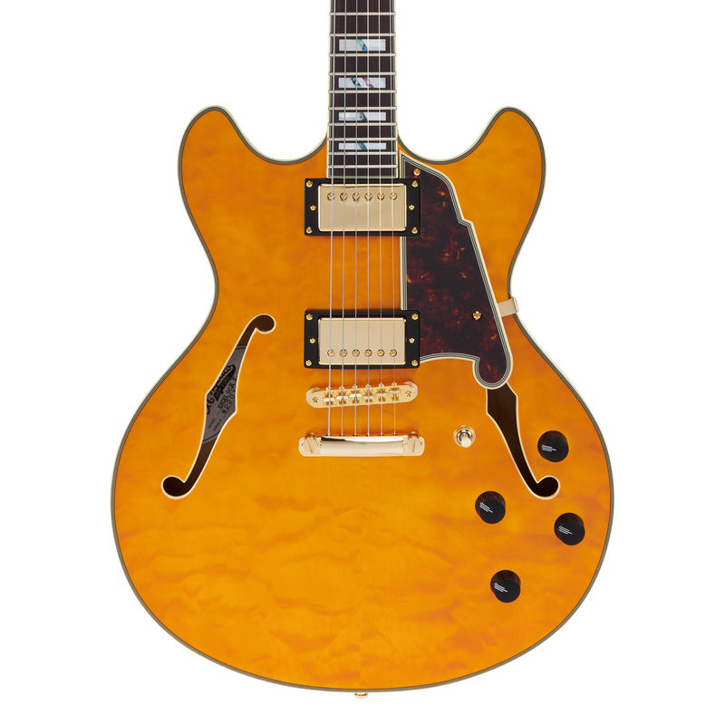 D'Angelico EXCEL DC XT Series Semi Hollow-Body Electric Guitar (Natural)