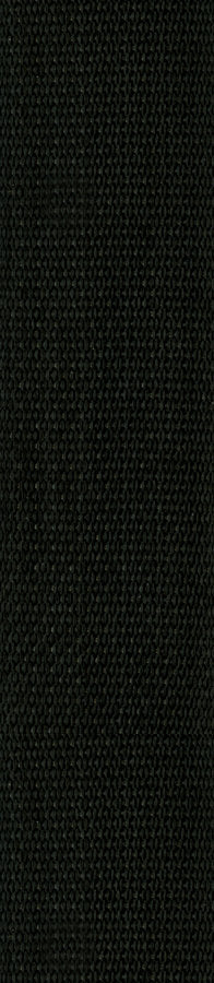 Planet Waves PWS100 Polyproplylene Guitar Strap - Black