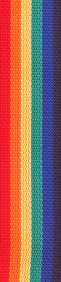 Planet Waves PWS111 Polypropylene Guitar Strap - Rainbow
