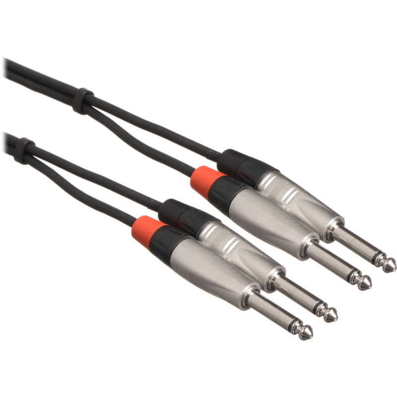 Câble d'interconnexion stéréo Hosa HPP-010X2 Pro avec connecteurs doubles REAN 1/4" - 10'