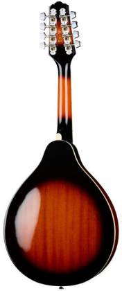 Mandoline Ibanez M510EBS avec micro