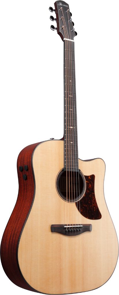 Ibanez AAD400CELGS Platinum Series Grand Dreadnought avec corps pan coupé à accès avancé (naturel faible brillant)