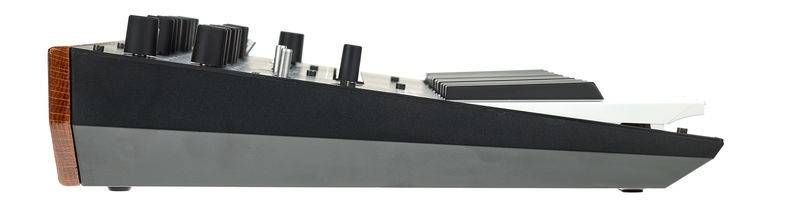 Korg MONOLOGUEBK Monophonic Analog Synthesizer (Black)