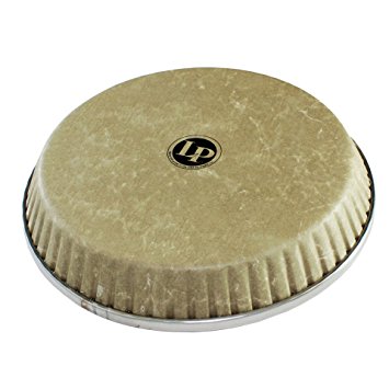 Latin Percussion LP265BP Peau de conga synthétique Fiberskyn - 11,75"