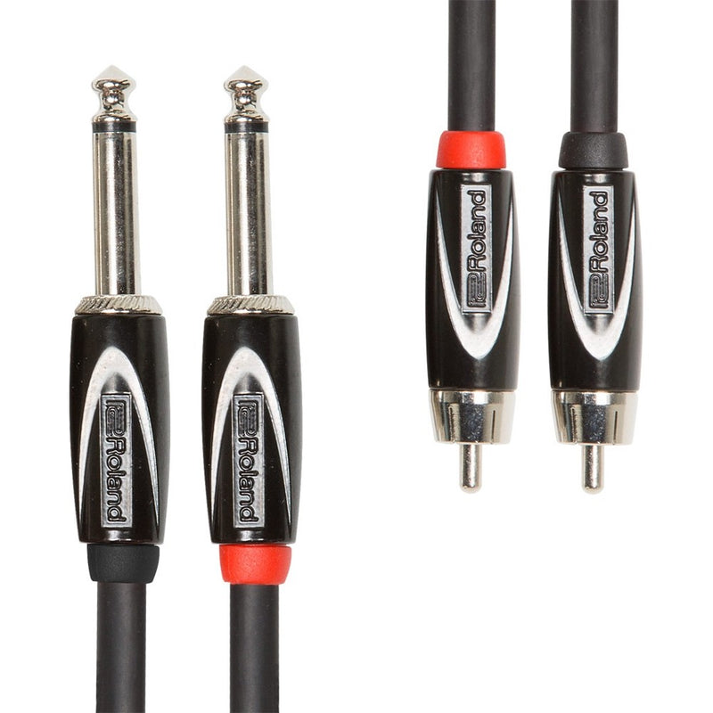 Roland RCC-10-2R28 Dual 1/4" TS to RCA Interconnect Cable - 10'