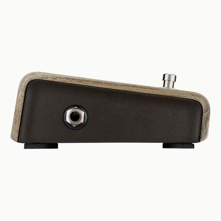 L.R. Baggs Align Series Active DI Acoustic Guitar Pedal