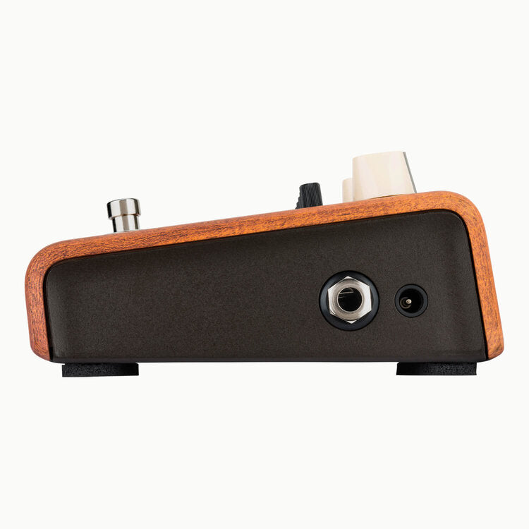 L.R. Baggs Align Series Acoustic Equalizer Guitar Pedal