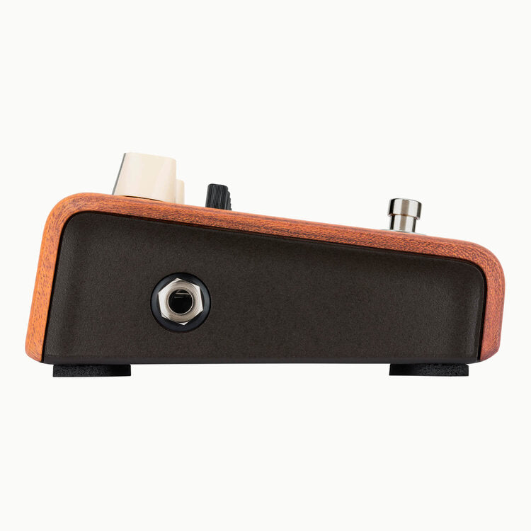 L.R. Baggs Align Series Acoustic Equalizer Guitar Pedal