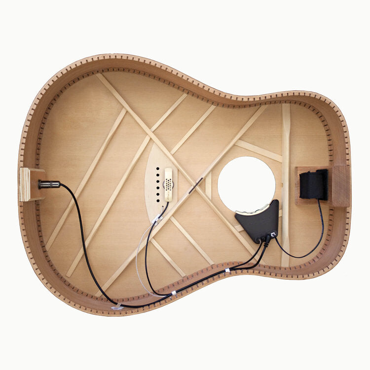 L.R. Baggs Anthem Acoustic Guitar Pickup