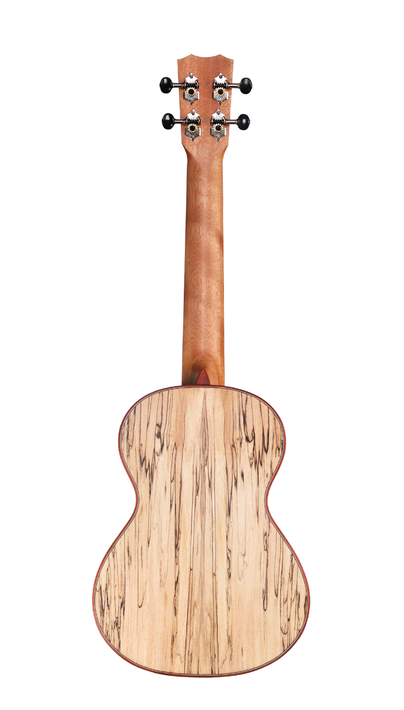 Cordoba 24T Spruce Tenor Ukulele (Natural Finish)